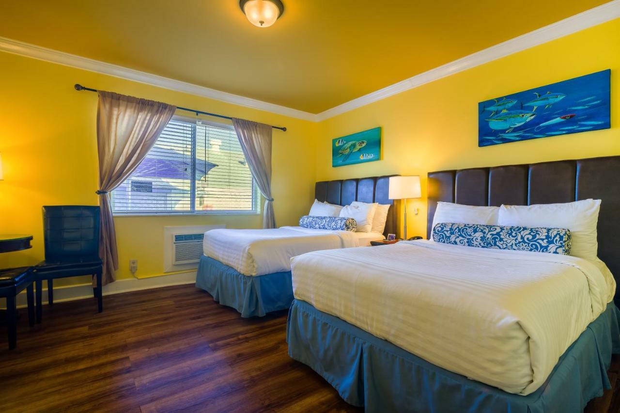 Pegasus International 3* Cayo Hueso